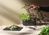 Горшок Rig-Tig Pot-It, пластик, 11,3 см, чёрный — фото 2