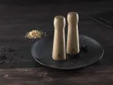 Мельница для соли и перца Zwilling Zwilling Spices, керамика — фото 1