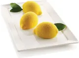 Форма для запекания Silikomart Delizia al Limone, круглая, силикон — фото 7