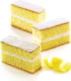 Форма для запекания Silikomart Forma do ciastek Sf026 Cake, овальная, силикон, 1,2 7,9 см — фото 2