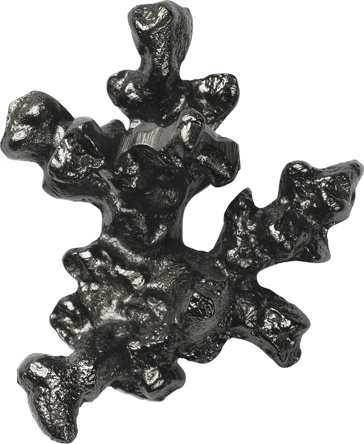 Крючок для дома Ferm Living Comber Coral Branch, алюминий, чёрный