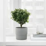 IKEA NYPON (ИКЕА НИПОН) — Кашпо, для дома/улицы серый 9 см — фото 4