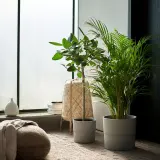 IKEA NYPON (ИКЕА НИПОН) — Кашпо, для дома/улицы серый 24 см — фото 3