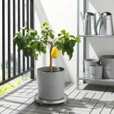IKEA NYPON (ИКЕА НИПОН) — Кашпо, для дома/улицы серый 24 см — фото 4