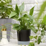 IKEA VÅRDTRÄD (ИКЕА ВОРДТРЭД) — Кашпо с автополивом, для дома и улицы прозрачный/антрацит 12 см — фото 5