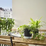 IKEA VÅRDTRÄD (ИКЕА ВОРДТРЭД) — Кашпо с автополивом, для дома и улицы прозрачный/антрацит 12 см — фото 6