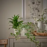 IKEA KÖRSBÄRSBJÖRK (ИКЕА КЁРСБЭРСБЙЁРК) — Кашпо, светлый серо-бежевый 12 см — фото 3