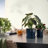 IKEA FEJKA (ИКЕА ФЕЙКА) — Искусственное растение в горшке, для дома/улицы алоказия 12 см — фото 3