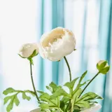IKEA SMYCKA (ИКЕА СМЙСКА) — Искусственный цветок, для дома и улицы Лютик/белый 52 см — фото 4