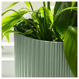 IKEA DAKSJUS (ИКЕА ДАКСЙУС) — Кашпо, светло-зелёный 15 см — фото 4