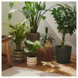 IKEA FRÄKENVÄXT (ИКЕА ФРЭКЕНВЭКСТ) — Кашпо, для дома/улицы/тёмный серо-бежевый 24 см — фото 5