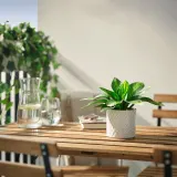 IKEA FEJKA (ИКЕА ФЕЙКА) — Искусственное растение в горшке, для дома/улицы/хоста садовая 9 см — фото 2