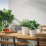 IKEA KVASTSPIREA (ИКЕА КВАСТСПИРЕА) — Кашпо, для дома/улицы/кремовый 9 см — фото 3