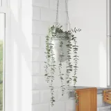 IKEA FEJKA (ИКЕА ФЕЙКА) — Искусственное растение в горшке, для дома/для улицы подвесное/эвкалипт 9 см — фото 5