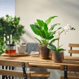 IKEA GRADVIS (ИКЕА ГРАДВИС) — Кашпо, для дома/улицы/светло-коричневый 9 см — фото 4