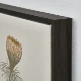 IKEA BLODFLÄDER (ИКЕА БЛОДФЛЭДЕР) — Картина, просто цветок 30х40 см — фото 2