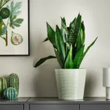IKEA BROKSPIREA (ИКЕА БРОКСПИРЕА) — Кашпо, светло-зелёное 19 см — фото 2