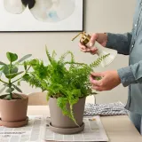 IKEA VATTENKRASSE (ИКЕА ВАТТЕНКРАССЕ) — Опрыскиватель, цвет слоновой кости/золотистый 0,35 л — фото 3