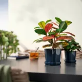 IKEA FEJKA (ИКЕА ФЕЙКА) — Растение искусственное в горшке, для дома/улицы кротон 12 см — фото 3