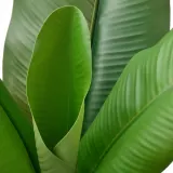 IKEA FEJKA (ИКЕА ФЕЙКА) — Растение искусственное в горшке, для дома/улицы банан 12 см — фото 4