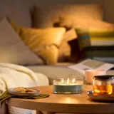 IKEA LOTSFÅGEL (ИКЕА ЛОТСФОГЕЛ) — Свеча ароматическая в стекле/3 фитиля, Фиговый лист зеленый 25 ч — фото 2