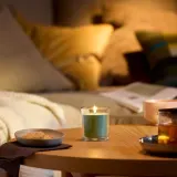 IKEA LOTSFÅGEL (ИКЕА ЛОТСФОГЕЛ) — Свеча ароматическая в стекле, Фиговый лист зеленый 40 ч — фото 2