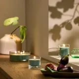 IKEA LOTSFÅGEL (ИКЕА ЛОТСФОГЕЛ) — Свеча ароматическая в стекле, Фиговый лист зеленый 40 ч — фото 3