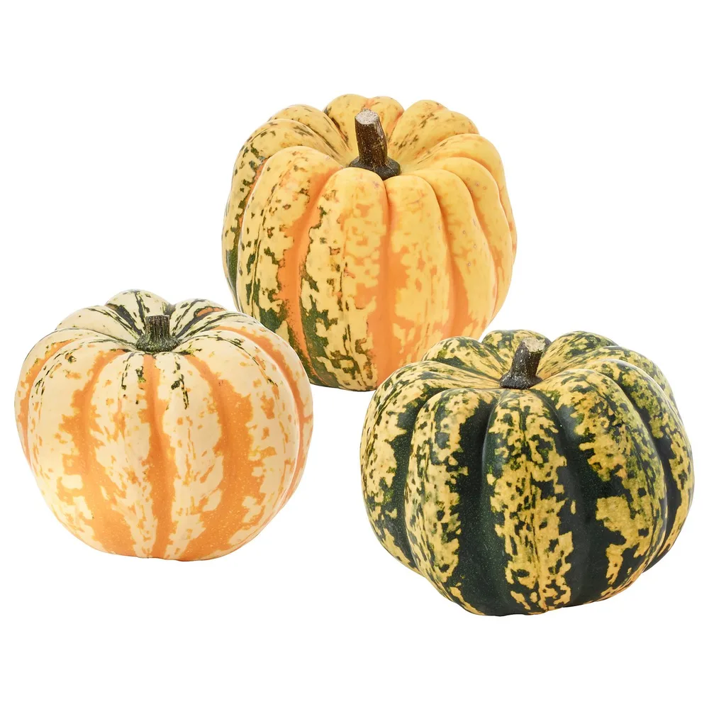 IKEA CUCURBITA (ИКЕА СУСУРБИТА) — Тыква декоративная, разные