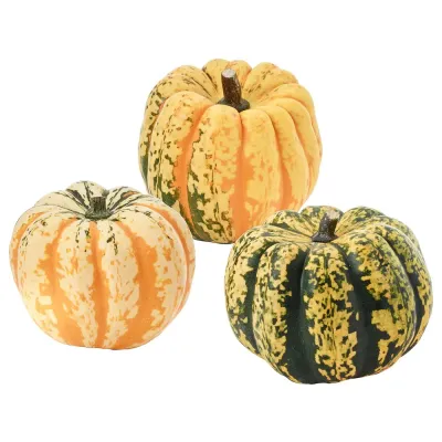 IKEA CUCURBITA (ИКЕА СУСУРБИТА) — Тыква декоративная, разные