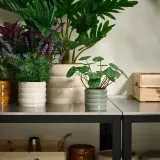 IKEA HASSELBUKETT (ИКЕА ХАССЕЛБУКЕТТ) — Кашпо, для дома/улицы/бежевый 12 см — фото 4