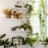 IKEA MALMBÄCK (ИКЕА МАЛМБЭК) — Полка экспозиционная, белый 60 см — фото 5