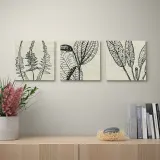 IKEA PJÄTTERYD (ИКЕА ПЙЭТТЕРИД) — Картина, цветочный принт 56х56 см — фото 2