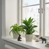 IKEA KÖRSBÄRSBJÖRK (ИКЕА КЁРСБЭРСБЙЁРК) — Кашпо для цветочного горшка, светлое серо-бежевое 9 см — фото 3