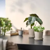 IKEA FEJKA (ИКЕА ФЕЙКА) — Искусственное растение в горшке, для дома/улицы мята 9 см — фото 3