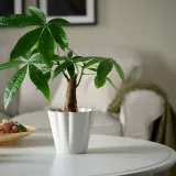 IKEA KVASTSPIREA (ИКЕА КВАСТСПИРЕА) — Кашпо для цветов, для дома/улицы, кремовое 12 см — фото 2