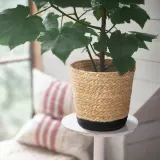IKEA TÄRNMÅS (ИКЕА ТЭРНМОС) — Кашпо, для дома/бежевый/чёрный 15 см — фото 2