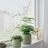 IKEA GLACIÄRBJÖRN (ИКЕА ГЛАСИЭРБЙЁРН) — Кашпо, светло-зелёный 12 см — фото 2