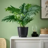 IKEA BROKTRAST (ИКЕА БРОКТРАСТ) — Кашпо, для дома/улицы/тёмно-серый 19 см — фото 4