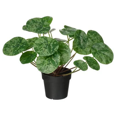IKEA FEJKA (ИКЕА ФЕЙКА) — Искусственное растение в горшке, для дома/улицы Pilea 9 см