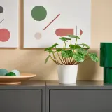 IKEA FEJKA (ИКЕА ФЕЙКА) — Искусственное растение в горшке, для дома/улицы Pilea 9 см — фото 2