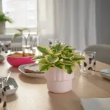 IKEA HÄNGSÄLG (ИКЕА ХЭНГСЭЛГ) — Кашпо, светло-розовый 9 см — фото 3