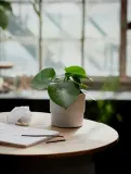 IKEA NYPON (ИКЕА НИПОН) — Кашпо для горшка, для дома/улицы серое 12 см — фото 2