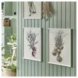 IKEA KNOPPÄNG (ИКЕА КНОППЭНГ) — Рамка, белая 40x50 см — фото 3