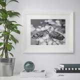 IKEA EDSBRUK (ИКЕА ЕДСБРУК) — Рамка, белая 40x50 см — фото 2