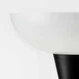 IKEA TÅGARP (ИКЕА ТОГАРП) — Лампа напольная/для чтения, чёрный/белый — фото 3