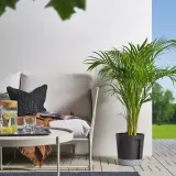 IKEA VÅRDTRÄD (ИКЕА ВОРДТРЭД) — Самополивающееся кашпо, для дома и улицы/прозрачный/антрацит 24 см — фото 5