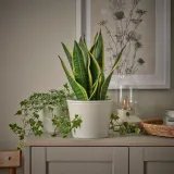 IKEA KÖRSBÄRSBJÖRK (ИКЕА КЁРСБЭРСБЙЁРК) — Кашпо, светлый серо-бежевый 15 см — фото 3