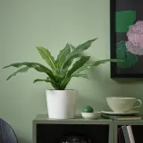 IKEA FEJKA (ИКЕА ФЕЙКА) — Искусственное растение в горшке, для дома/улицы Папоротник Microsorum Crocodyllus 12 см — фото 2