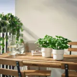 IKEA FEJKA (ИКЕА ФЕЙКА) — Искусственное растение в горшке, для дома и улицы/базилик 9 см — фото 2