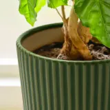 IKEA MÄVINN (ИКЕА МЭВИНН) — Кашпо, зелёное/песочное — фото 3